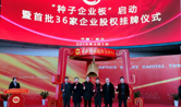 震序车船入选武交中心首批“种子企业板”上市后备企业