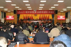 震序公司党支部书记赵琳林参加政协张湾区第九届委员会第三次会议